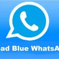 Blue WhatsApp